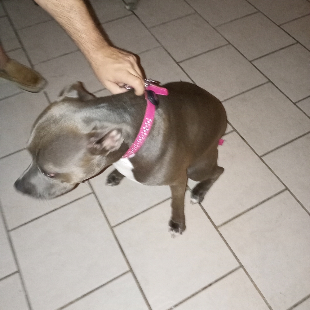 Meet your Posher, sara